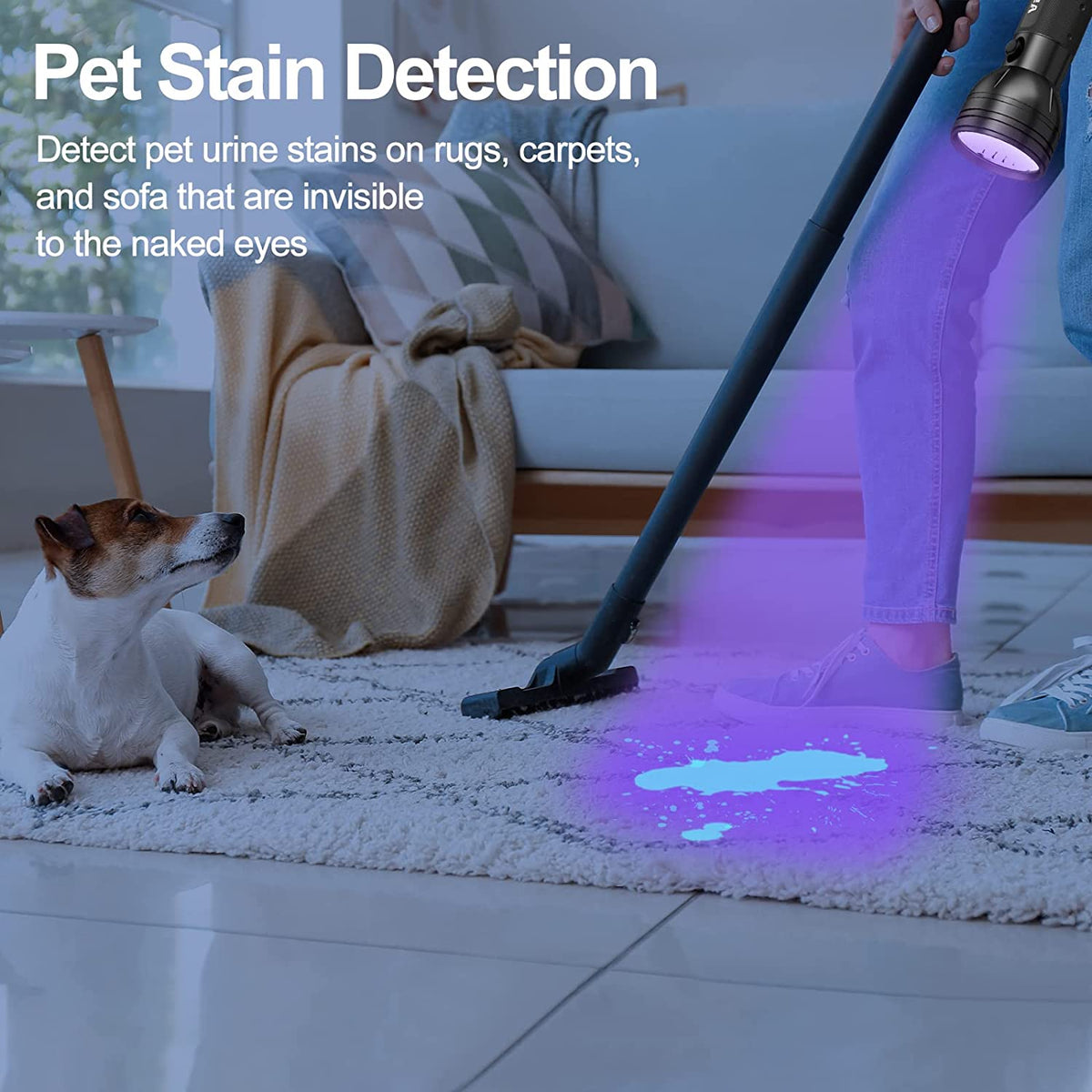Hidden Urine Finding StainSpotter UV Light Gift