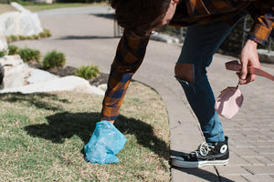 FurryFreshness Leak Proof Poop Bags